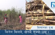 छाउ गोठमा बस्न बाध्य पार्नेलाई कारवाही गर्न निर्देशन | HIMALAYA KHABAR